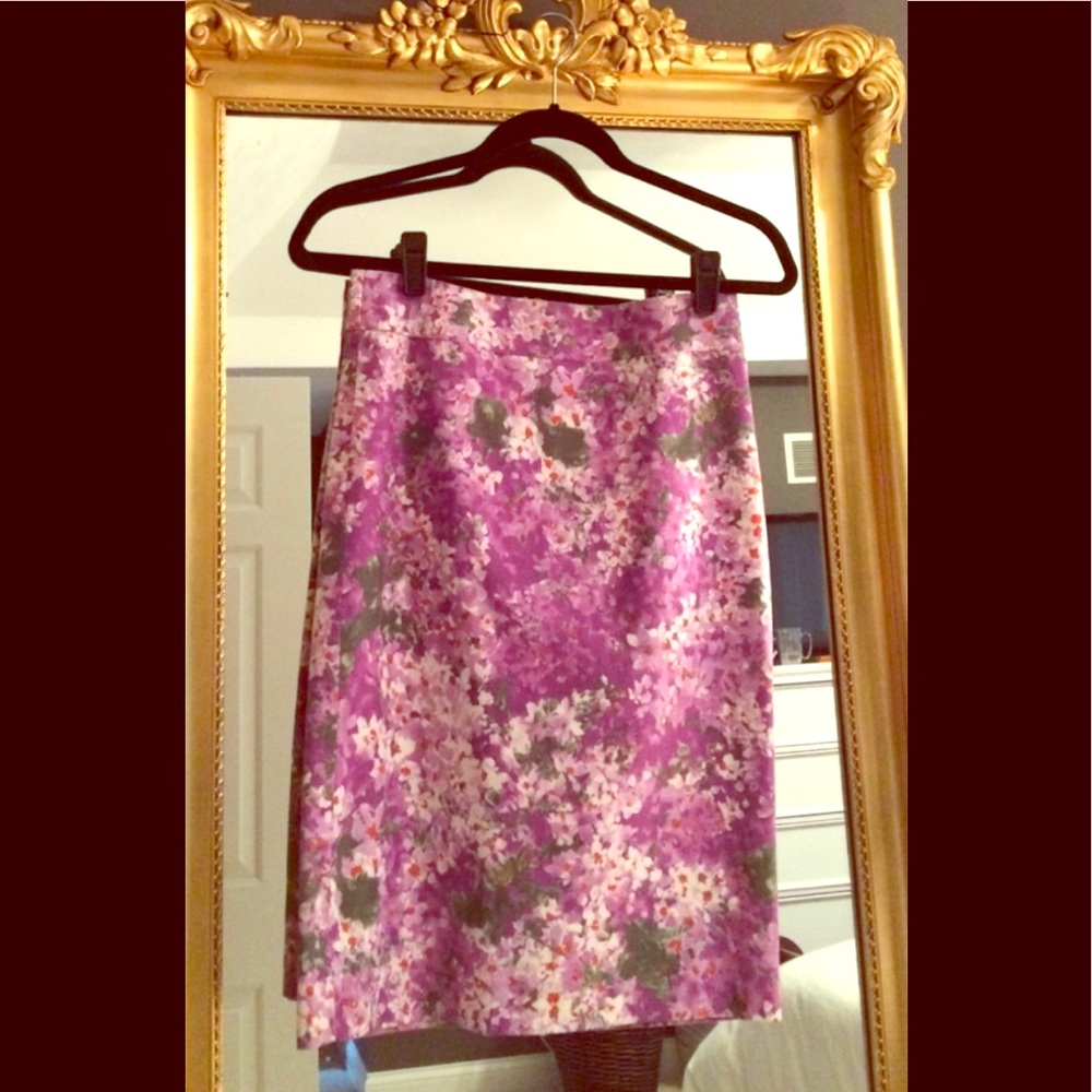 J Crew Skirt